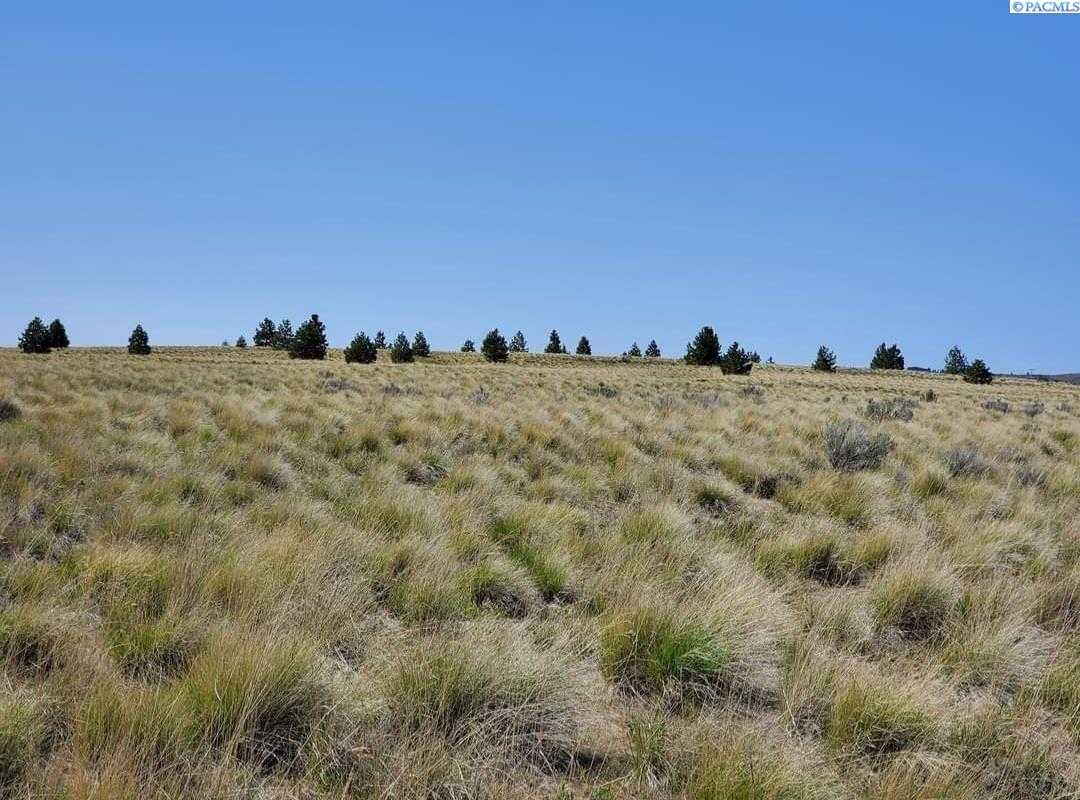 Photo of Newly Listed – Nka Middle Rd, Bickleton, WA 99322